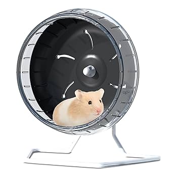 チンチラ 木製回し車 直径約40cm スタンド付き Amazon.co.jp: SALUDABLE ハムスター かじり木 おもちゃ